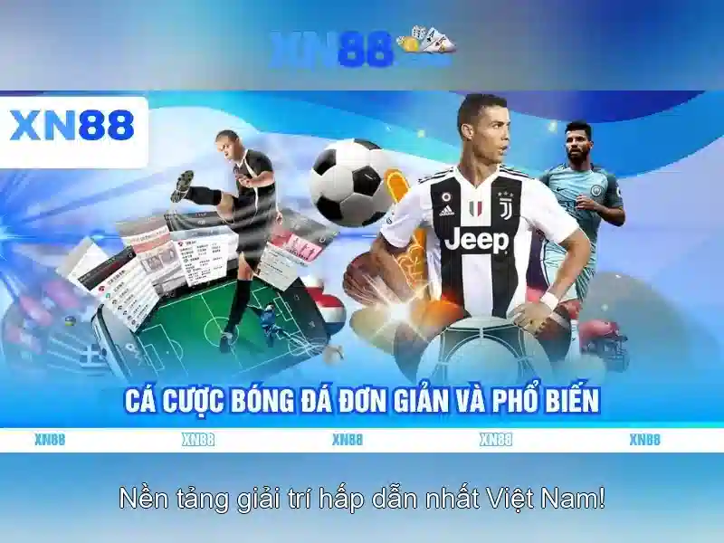 Lời kết