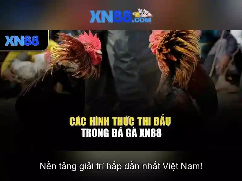 Nền tảng và trò chơi